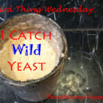 I Catch Wild Yeast