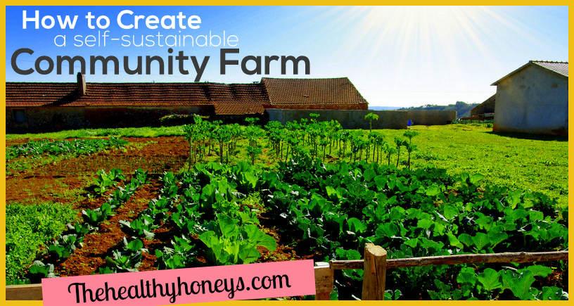 How to Create a Self-Sustainable Community Farm