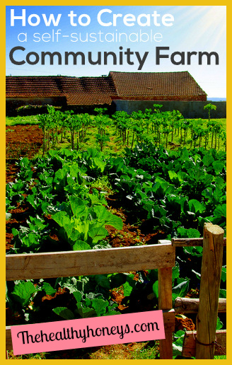 self-sustainable community farm