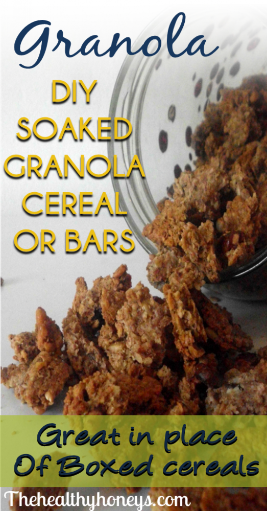 Granola Cereal DIY SOAKED