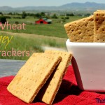 Soaked Wheat Honey Graham Crackers