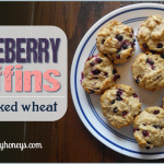 Soaked Huckleberry Muffins