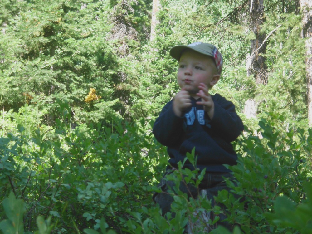 eating huckleberries