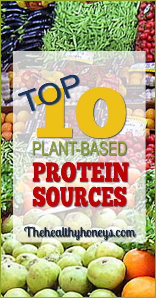 Plant based protein sources