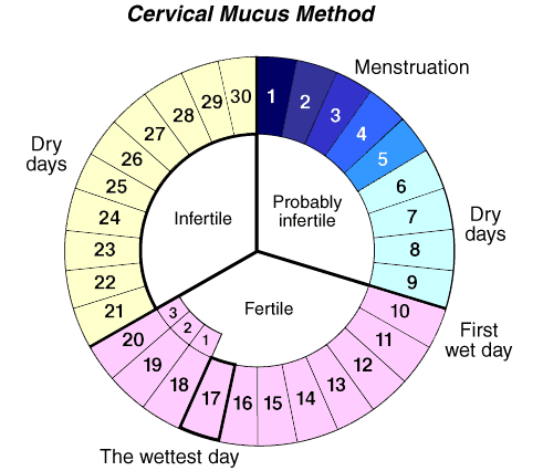 circle_month