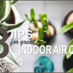 8 Tips to Improve Indoor Air Quality